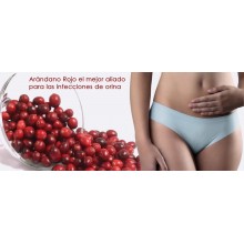 Arándano Rojo Concentrado + Hibisco y Probióticos | Sotya  | 90 Cáps de 650 mgr | Infecciones Urinarias - Antioxidante