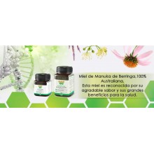 Berringa Manuka Miel|Berringa | 400 gr MGO60+ | Antibacteriana y Antioxidante