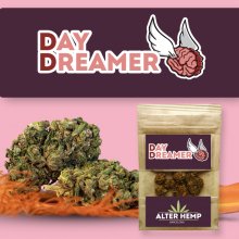 Day Dreamer CBD - Alterhemp | 1gr | Flores de CBD