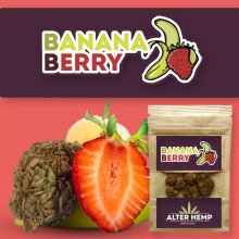 Banana Berry CBD- Alterhemp | 1gr | Flores de CBD