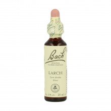 Bach Larch (19) - Bach Singles| 20 ml. | Vegano | Para la falta de confianza