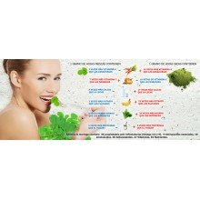 Moringa BIO | Natur Green | 90 Cáps. | 1050 mg | Gran Aporte en Vitaminas y Minerales - Producto ideal para Veganos