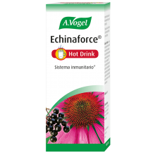 Echinaforce Forte Hot Drink | A. Vogel | 100ml | Combate la  sinusitis, gripe o catarros| Se toma caliente