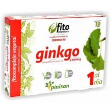 Ginkgo Fito Premium | Pinisan | 30 cáps de 9050 mg |  Circulación