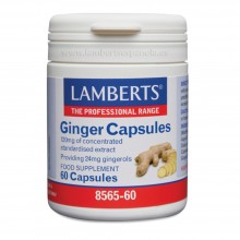 Jengibre 14.400 mg como extracto de la raíz| Lamberts | 60 tabletas 2.500 mg | Digestión