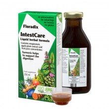 Intestcare Jarabe | Salus Floradix| 250 ml| bálsamo para la salud intestinal