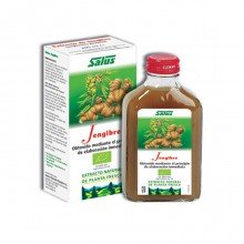 Jengibre BioEco | Salus Floradix| 200 ml|normal función digestiva