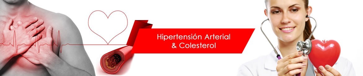Colesterol | Hipertensión