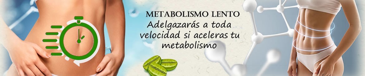 Metabolismo Lento