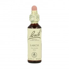 Bach Larch (19) - Bach Singles| 20 ml. | Vegano | Para la falta de confianza